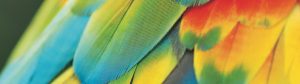 ColorSystem