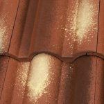 Coppo Crijep zračnik - Ferrara - Colorsystem