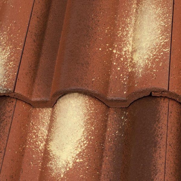 Coppo Ferrara Crijep