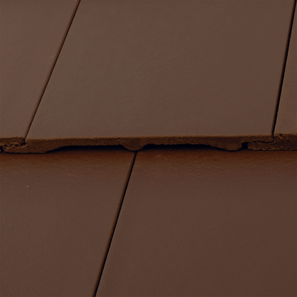 Zenit Kesten smeđa Max